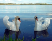 Am Ziestsee
