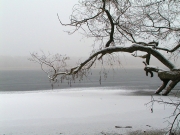Ziestsee im Winter