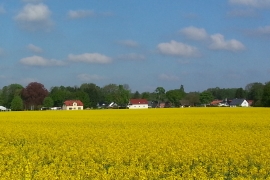 Mailen auch Sie Ihr Heidesee-Bild.